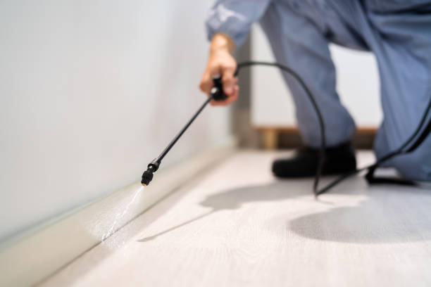 Licensed Termite Control service in St. Louis County County, MO - Nex Pest Control